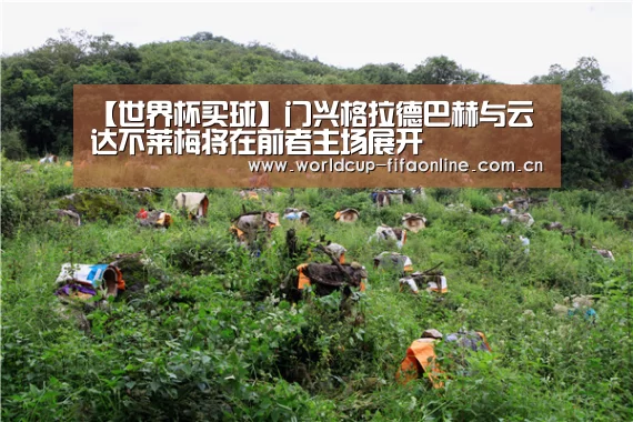 【世界杯买球】门兴格拉德巴赫与云达不莱梅将在前者主场展开(图1) 世界杯买球