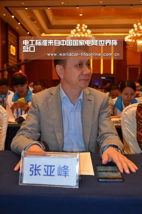 电工标准来自中国国家电网|世界杯盘口(图3) 世界杯盘口