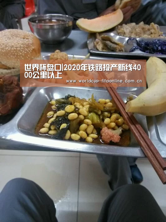 世界杯盘口|2020年铁路投产新线4000公里以上(图4) 世界杯盘口